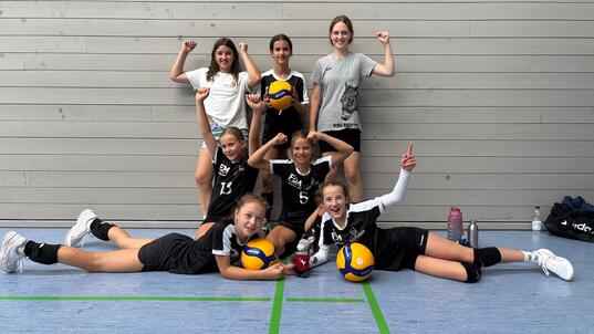 Volleyballturnier in March am 25.6.